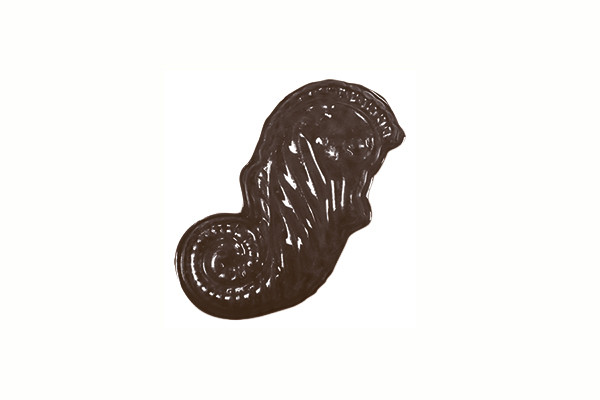 Форма для шоколадных украшений "Морские обитатели" - фото 8 - id-p138482782