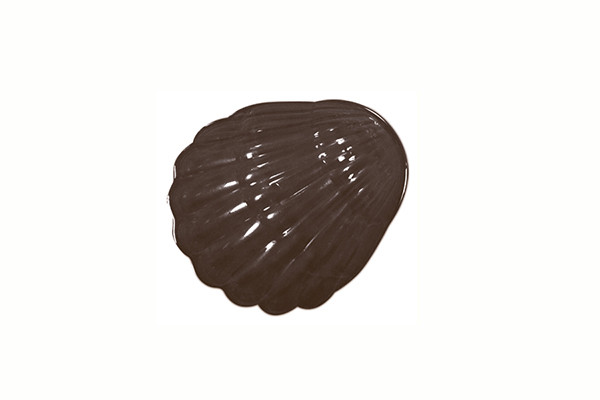 Форма для шоколадных украшений "Морские обитатели" - фото 7 - id-p138482782