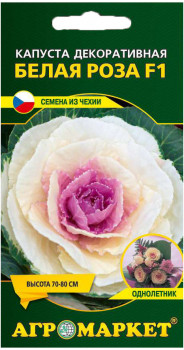 Семена Капуста декоративная Белая роза F1 (10 шт.) - фото 1 - id-p137898661