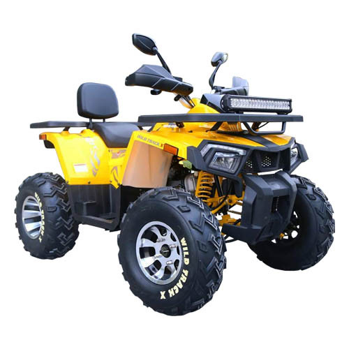 Квадроцикл Motoland WILD TRACK X PRO 200 - фото 1 - id-p138504617