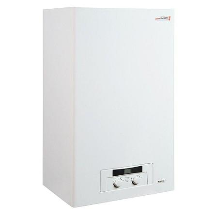 Газовый котел Protherm Lynx 24 (Рысь), фото 2