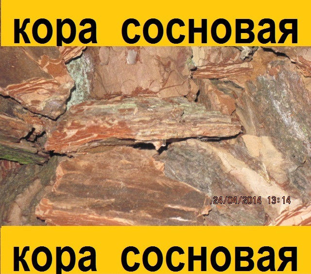 Кора сосновая декоративная 50л - фото 1 - id-p60828044