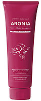 Шампунь для волос АРОНИЯ Institute-beaut Aronia Color Protection Shampoo, 100 мл (Pedison)