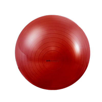 Мяч гимнастический GM-55 Classic, Armedical - фото 1 - id-p138611829