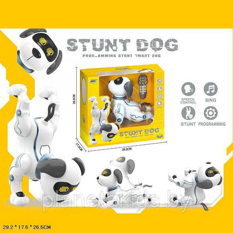 Собака робот (Смарт пес) на радиоуправлении, Stunt dog (K16) - фото 1 - id-p138705122