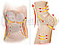 Утягивающее белье Комбидресс Slim Shapewear Бежевый L-XL (48-54), фото 6