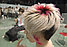 Мелки для окрашивания волос и яркого образа  CUICAN 1 шт, цвета MIX  Розовый, фото 6