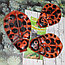 Солевая грелка Мультяшки. Цвета Микс Чебурашка (15,5 х 19 см), фото 4