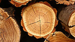 Нормы ограничения пороков древесины на поверхности деталей из массивной древесины
