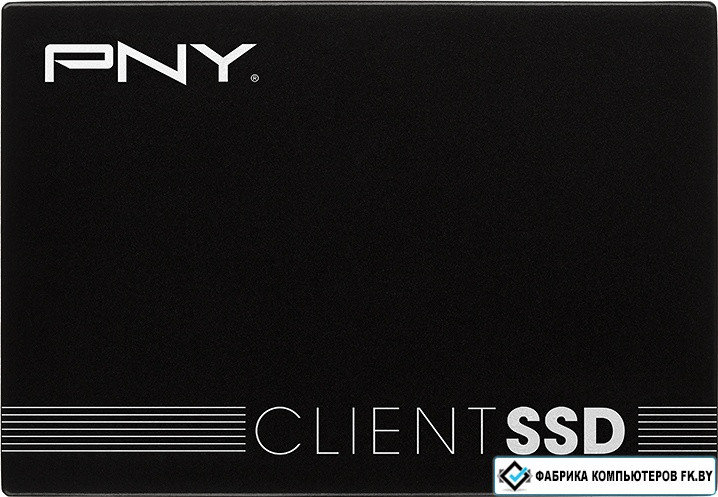 SSD PNY CS900 120GB (SSD7CS900-120-PB) 3D NAND (TLC) - фото 1 - id-p138808402
