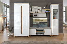 Тумба под TV Хлоя СТЛ.363.03 (белый/дуб небраска) фабрика Stolline, фото 2