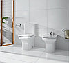 ЧАША ДЛЯ УНИТАЗА ROCA DAMA-N 34278W000 36X60, VARIO ВЫПУСК, фото 4