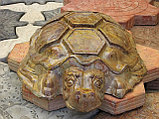 Малая архитектурная форма Черепаха, фото 2