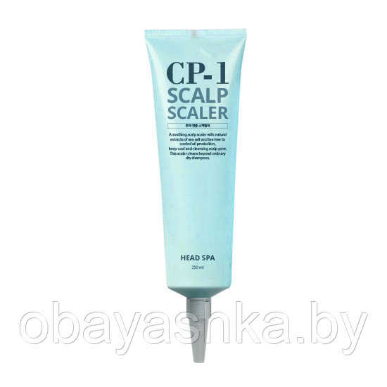 [ESTHETIC HOUSE] Средство для очищения кожи головы CP-1 HEAD SPA SCALP SCALER, 250 мл - фото 1 - id-p138994168