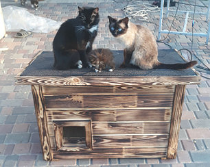 Утепленные домики для котов