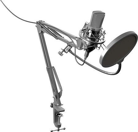 Микрофон Ritmix RDM-169, фото 2