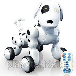 Собака робот на радиоуправлении, интерактивная, 619 - фото 2 - id-p139360929