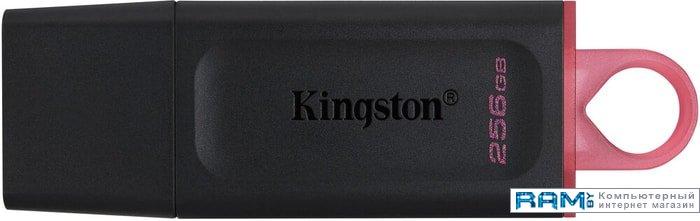 USB Flash Kingston Exodia 256GB - фото 1 - id-p139372185