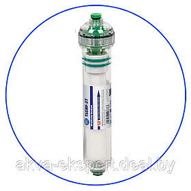 УФ мембрана в прозрачном корпусе - 1/4" NPT (Aquafilter TLCHF-2T)