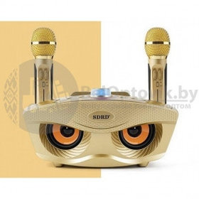 Беспроводная семейная Караоке система SDRD  SD-306 с двумя микрофонами в комплекте Золотой