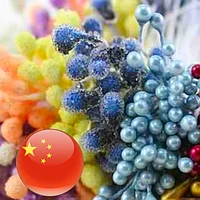 Ягоды и тычинки для цветов