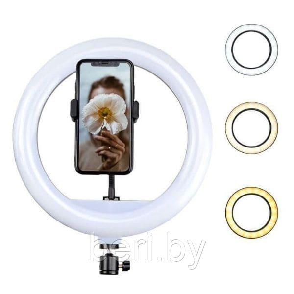YQ320A Кольцевая лампа Ring Fill Light, 30 см + штатив (2,2 м.) + пульт + крепление для телефона - фото 3 - id-p139445321