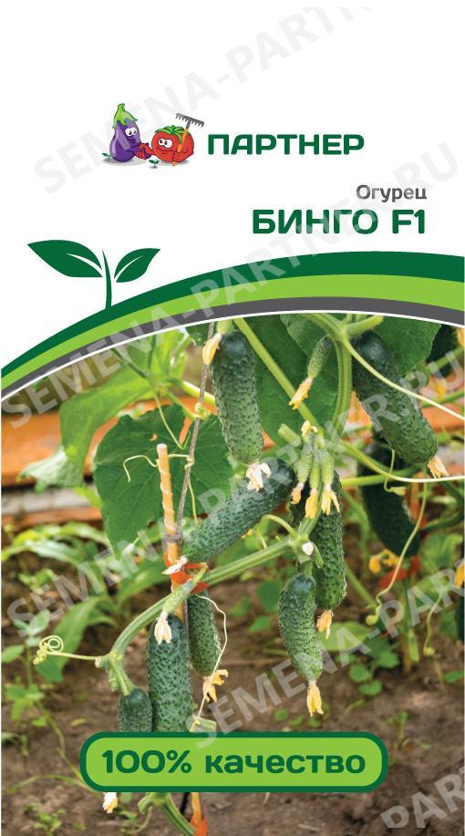 Семена Огурец партенокарпический для пикулей Бинго F1 - Агрофирма Партнер