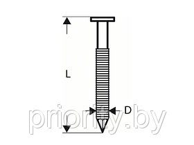 Гвозди для GSN 90-21 RK SN21RK 60RG (4000шт) (BOSCH)