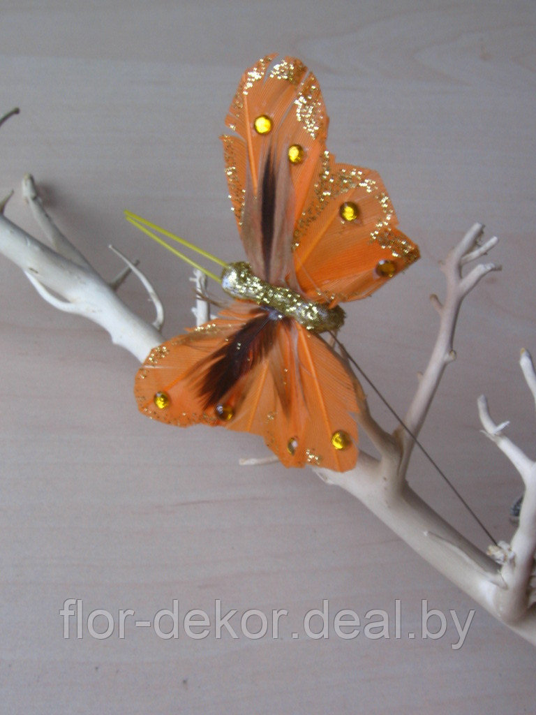 Бабочки на проволоке, 5см ( 4шт.) - фото 2 - id-p10775052