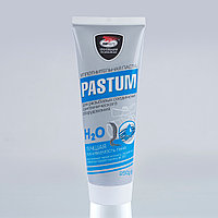 Паста уплотнительная  70гр. Pastum H20 тюбик