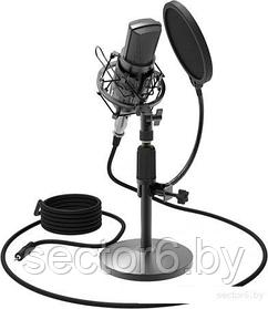 Микрофон Ritmix RDM-175