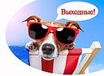 АКЦИЯ ВЫХОДНОГО ДНЯ!