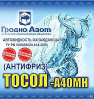 Тосол-А40МН Гродно Азот Антифриз 20л / 21,5кг