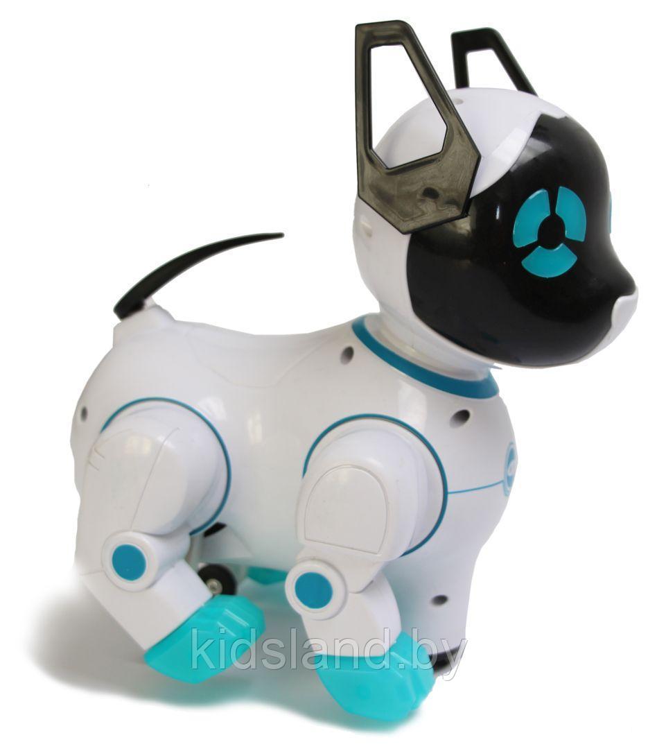 Интерактивная собака-робот, арт. 8201A - фото 5 - id-p139869272