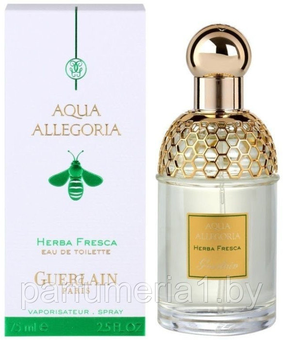 Guerlain Aqua Allegoria Herba Fresca - фото 1 - id-p140082570