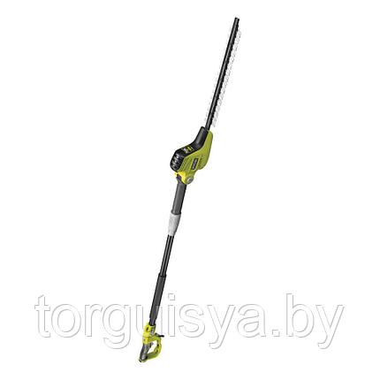 Кусторез электрический RYOBI RPT4545E, фото 2