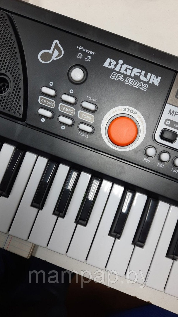 Детский синтезатор Bigfun BF-530А2 с микрофоном и USB - фото 5 - id-p140111342