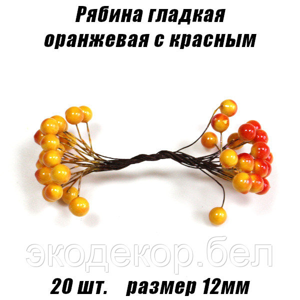 Рябина гладкая 12мм. Оранжевая с красным - фото 1 - id-p140161536