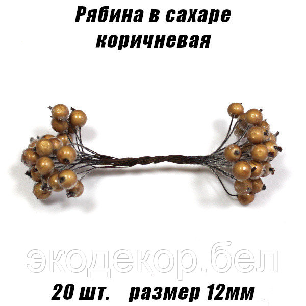 Рябина в сахаре 12мм. Коричневая
