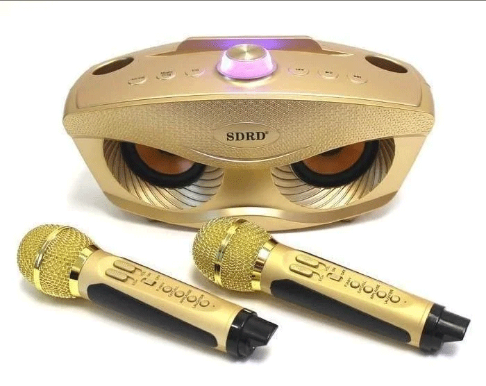 Беспроводная стерео караоке система Magic Karaoke SDRD на 2 микрофона SD-306 - фото 3 - id-p140179248