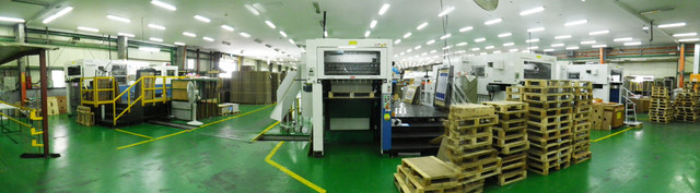 Revotec 106SR в цехе картонной упаковки HANSOL, фото 8