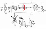 Шайба водяного насоса погрузчика Balkancar ( c двигателем Perkins Д2500) В33157054, фото 2