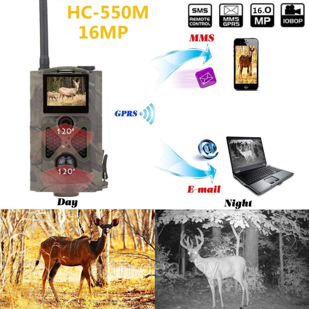 Фотоловушка SunTek HC-550M (Филин 120 ММS) HD SMS MMS - фото 8 - id-p140257259