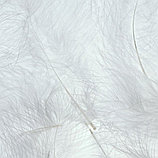Одеяло пуховое "Феличе" Экотекс ЕвроМакси (220х240) арт. ФОПЕМ, фото 4