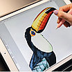 Обучение, курсы рисования на iPad. Художник., фото 2