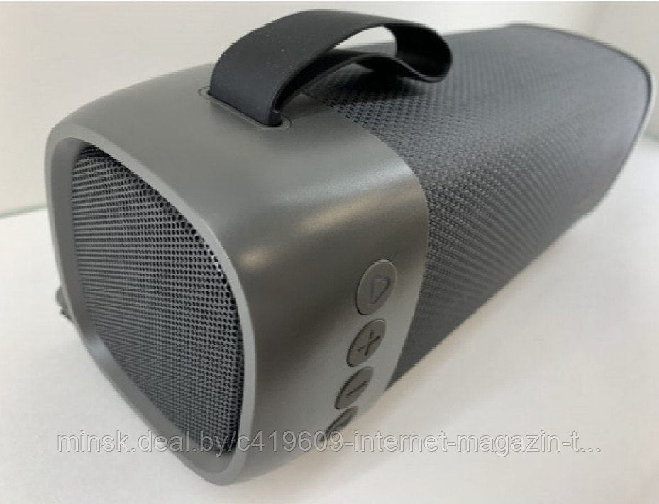 Колонка BEECARO GF501 ОРИГИНАЛ (на фото посередине)