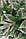 Сосна искусственная Северная Люкс с шишками 100 см, фото 2