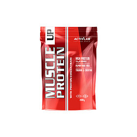 Протеин Activlab MUSCLE UP 700G