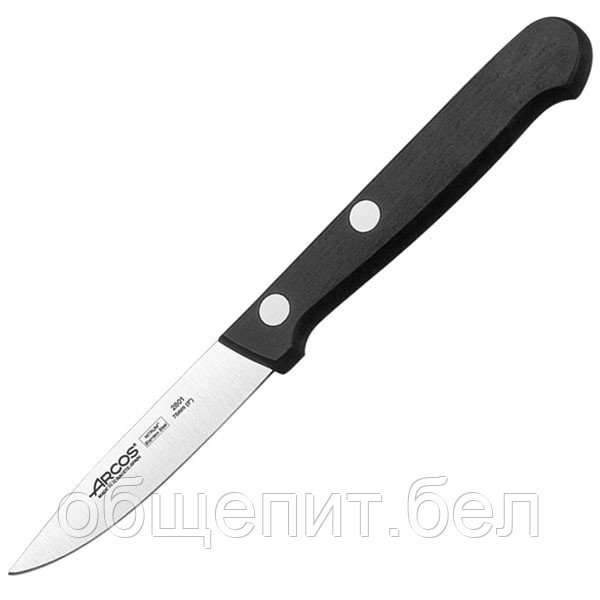 Нож для чистки овощей и фруктов «Универсал» L=178/75 мм