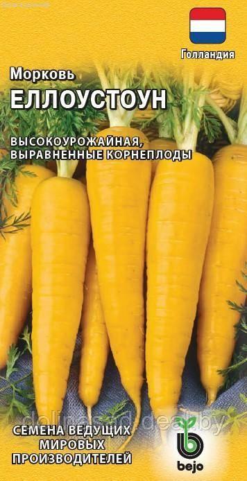 Гавриш Морковь Еллоустоун 150 шт. (Голландия) Н19